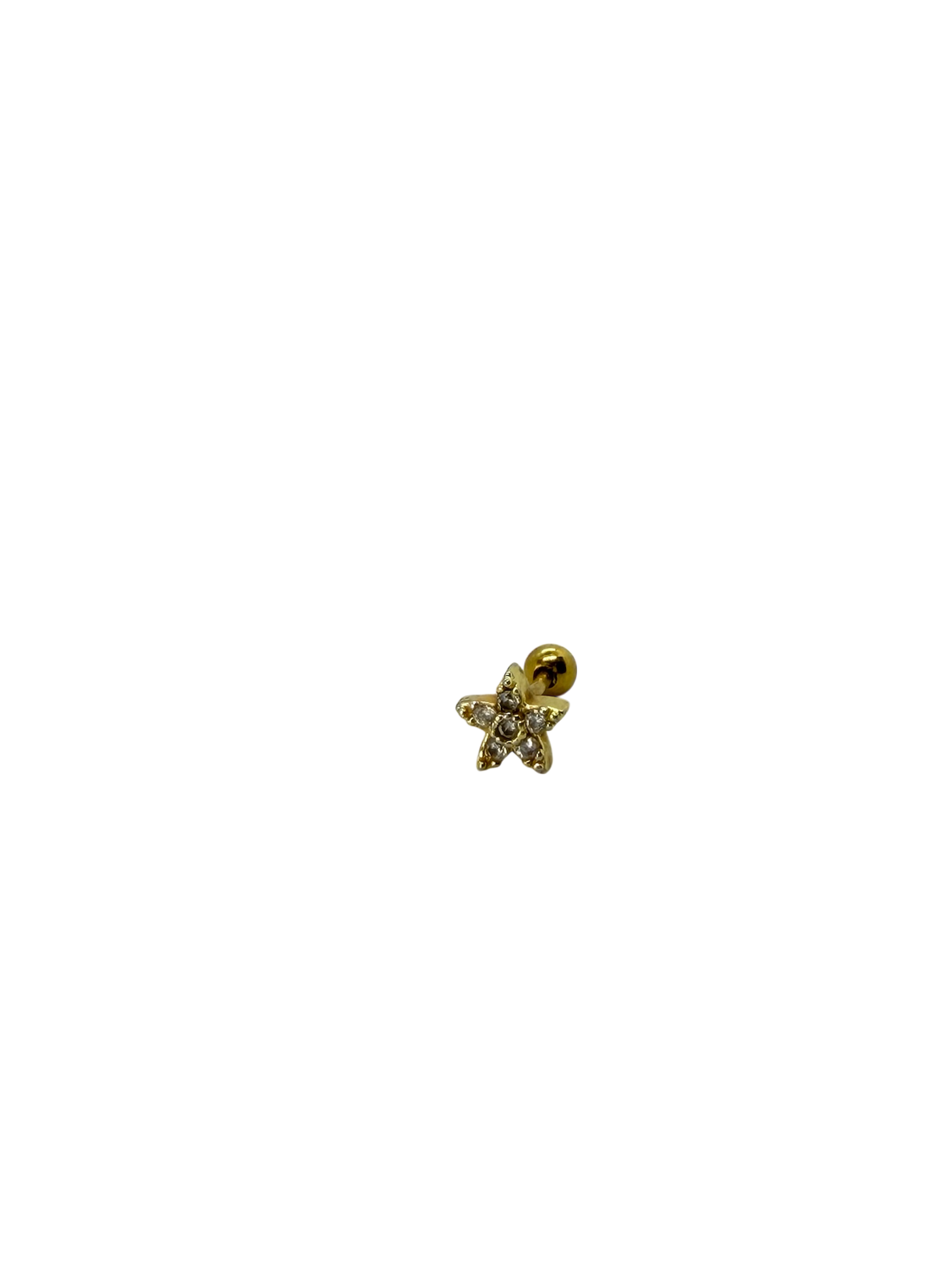 Piercings